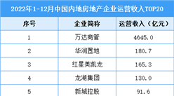 2022年1-12月中國房地產企業運營收入TOP20