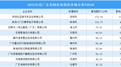 年终小结：2022年度广东制造业投资拿地企业TOP50汇总