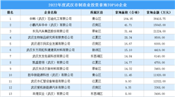 2022年武漢制造業TOP50企業榜單出爐，涉地面積超540公頃！