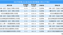 工業投資情報 | 2022年武漢這十個工業項目土地投資規模最大（圖）