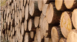 2022年1-12月中国原木及锯材进口数据统计分析