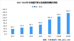 2023年中国碳纤维行业市场前景及投资研究报告（简版）