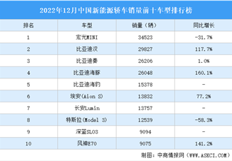 2022年12月中国新能源轿车销量前十车型排行榜（附榜单）
