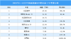 2022年1-12月中国新能源SUV销量前十车型排行榜（附榜单）