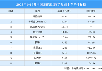 2022年1-12月中国新能源SUV销量前十车型排行榜（附榜单）