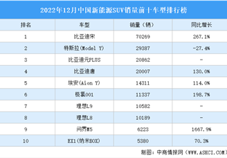 2022年12月中国新能源SUV销量前十车型排行榜（附榜单）