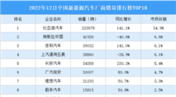 2022年12月中国新能源汽车厂商销量排行榜TOP10（附榜单）
