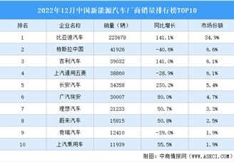 2022年12月中国新能源汽车厂商销量排行榜TOP10（附榜单）