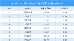 2022年1-12月中国汽车厂商零售销量排行榜TOP10（附榜单）