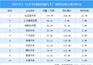 2022年1-12月中国新能源汽车厂商销量排行榜TOP10（附榜单）