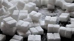 2022年12月全国成品糖产量数据统计分析