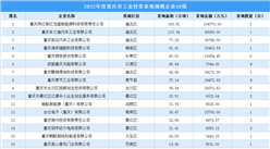 81宗53億元！2022重慶市工業土地投資50強企業榜單