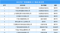 2022年广西创新能力十强企业排行榜
