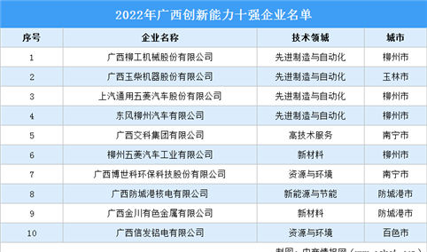 2022年广西创新能力十强企业排行榜