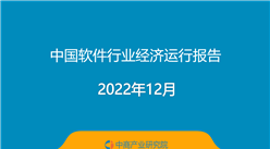 2022年中国软件行业经济运行报告（附全文）