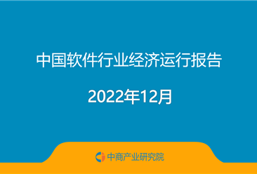2022年中国软件行业经济运行报告（附全文）