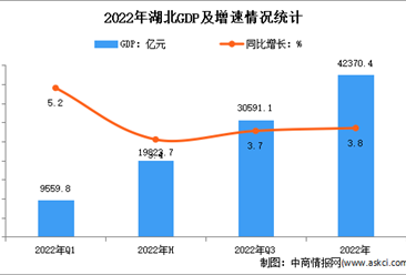 2022年湖北省国民经济和社会发展统计公报：GDP同比增长4.3%（图）