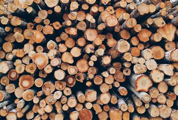 擬投資40億元  貴州黎平縣木材精深加工產業園項目招商