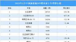 2023年1月中國新能源SUV銷量前十車型排行榜（附榜單）