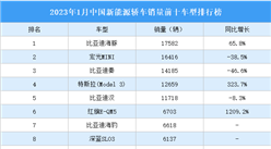 2023年1月中國新能源轎車銷量前十車型排行榜（附榜單）