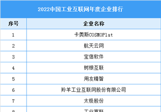 2022中国工业互联网年度企业排行