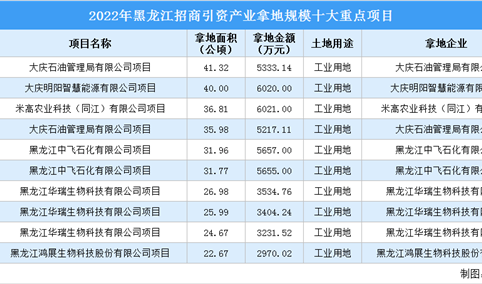 2022年黑龙江工业土地投资规模最大的十个项目，总投资额近5亿元