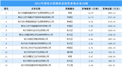 投资企业盘点 | 2022年度哈尔滨制造业投资企业30强名单汇总（图）