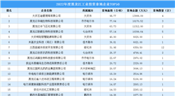投資情報 · 黑龍江篇 | 2022年黑龍江這50家企業工業土地投資規模最大