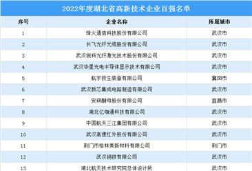 2022年度湖北省高新技术企业百强榜单（附全榜单）