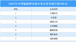 2022年中国储能锂电池企业出货量排行榜TOP10（附榜单）