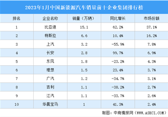 2023年1月中国新能源汽车销量前十企业集团排行榜（附榜单）