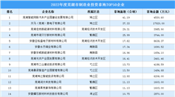 2022年蕪湖制造業土地投資TOP50企業榜單出爐，總投資超13億元