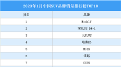 2023年1月中國SUV品牌銷量排行榜TOP10（附榜單）