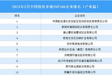 產業投資情報：2023年2月中國投資拿地TOP100企業排行榜（產業篇）