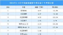 2023年1-2月中国新能源轿车销量前十车型排行榜（附榜单）