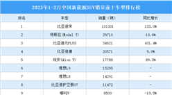 2023年1-2月中國新能源SUV銷量前十車型排行榜（附榜單）