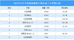 2023年2月中國新能源轎車銷量前十車型排行榜（附榜單）