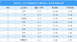 2023年1-2月中國國內汽車銷量前十企業集團排行榜（附榜單）
