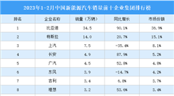 2023年1-2月中国新能源汽车销量前十企业集团排行榜（附榜单）