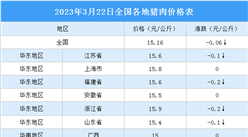 2023年3月23日全國各地最新豬肉價格行情走勢分析