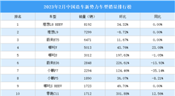 2023年2月中國造車新勢力車型銷量排行榜（附榜單）