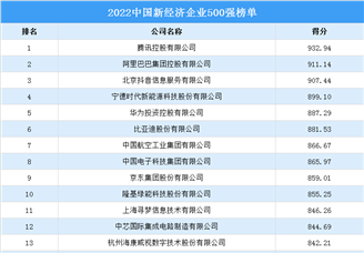 2022中国新经济企业500强排行榜（附榜单）