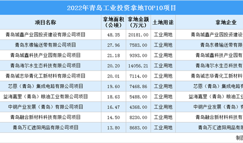 抓项目扩投资 2022年青岛市10大工业项目土地投资超9亿元