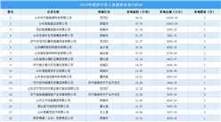 【工业投资盘点】2022年济宁市工业土地投资TOP50企业总投资超17亿