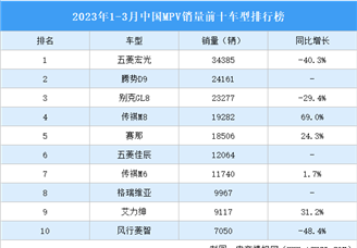 2023年1-3月中国MPV销量前十车型排行榜（附榜单）