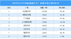 2023年3月中国新能源汽车厂商销量排行榜TOP10（附榜单）