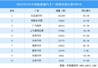 2023年3月中国新能源汽车厂商销量排行榜TOP10（附榜单）