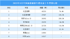 2023年3月中国新能源轿车销量前十车型排行榜（附榜单）