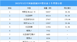 2023年3月中国新能源SUV销量前十车型排行榜（附榜单）