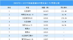 2023年1-3月中国新能源SUV销量前十车型排行榜（附榜单）